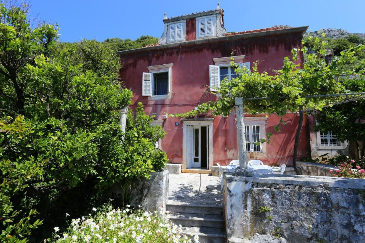 House With A Parking Space - Podac, Peljesac - 10141 度假居 *